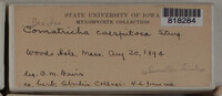 Image Associated With the Occurence